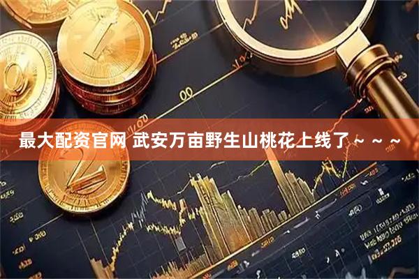 最大配资官网 武安万亩野生山桃花上线了～～～